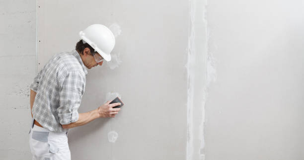 Best Fire-Damaged Drywall Repair  in Muscatine, IA