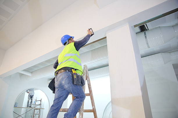 Best Water-Damaged Drywall Repair  in Muscatine, IA