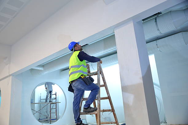 Best Drywall Repair  in Muscatine, IA